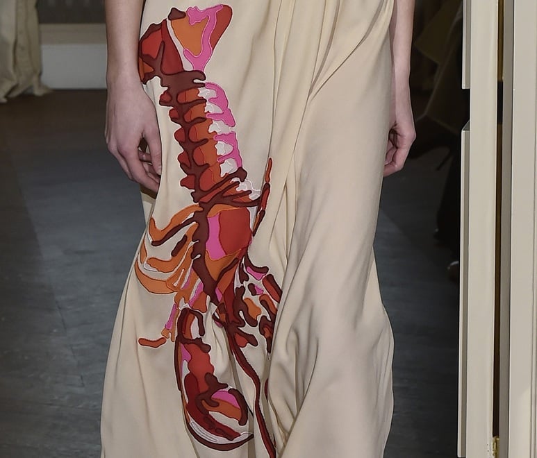 Schiaparelli GettyImages 632469606 2