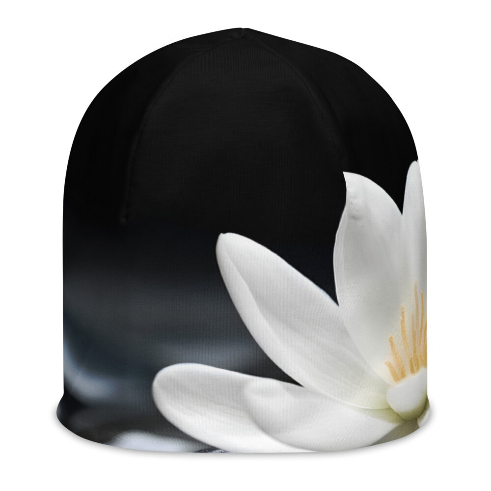 The Yoga Stones Beanie art concierge clothing jpg