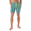 The Stripes Series (Dirty Blue) Swim Trunks front art concierge clothing jpg