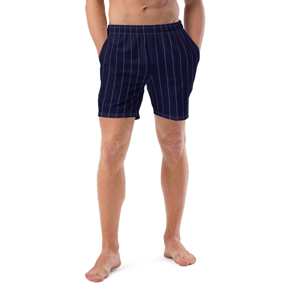 The Stripes Series (Pinstripes) Swim Trunks blue pinstripe front art concierge clothing jpg