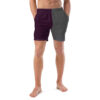 The Bauhaus Series (Plum and Grey) Swim Trunks plum grey front art concierge clothing jpg
